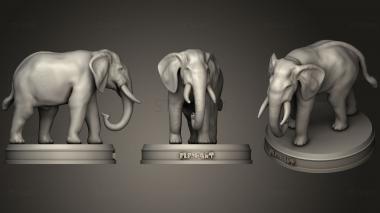 3D model Elephant (STL)